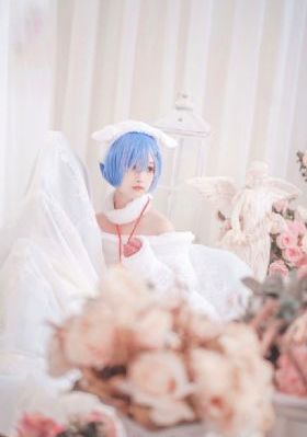 花蝴蝶高清